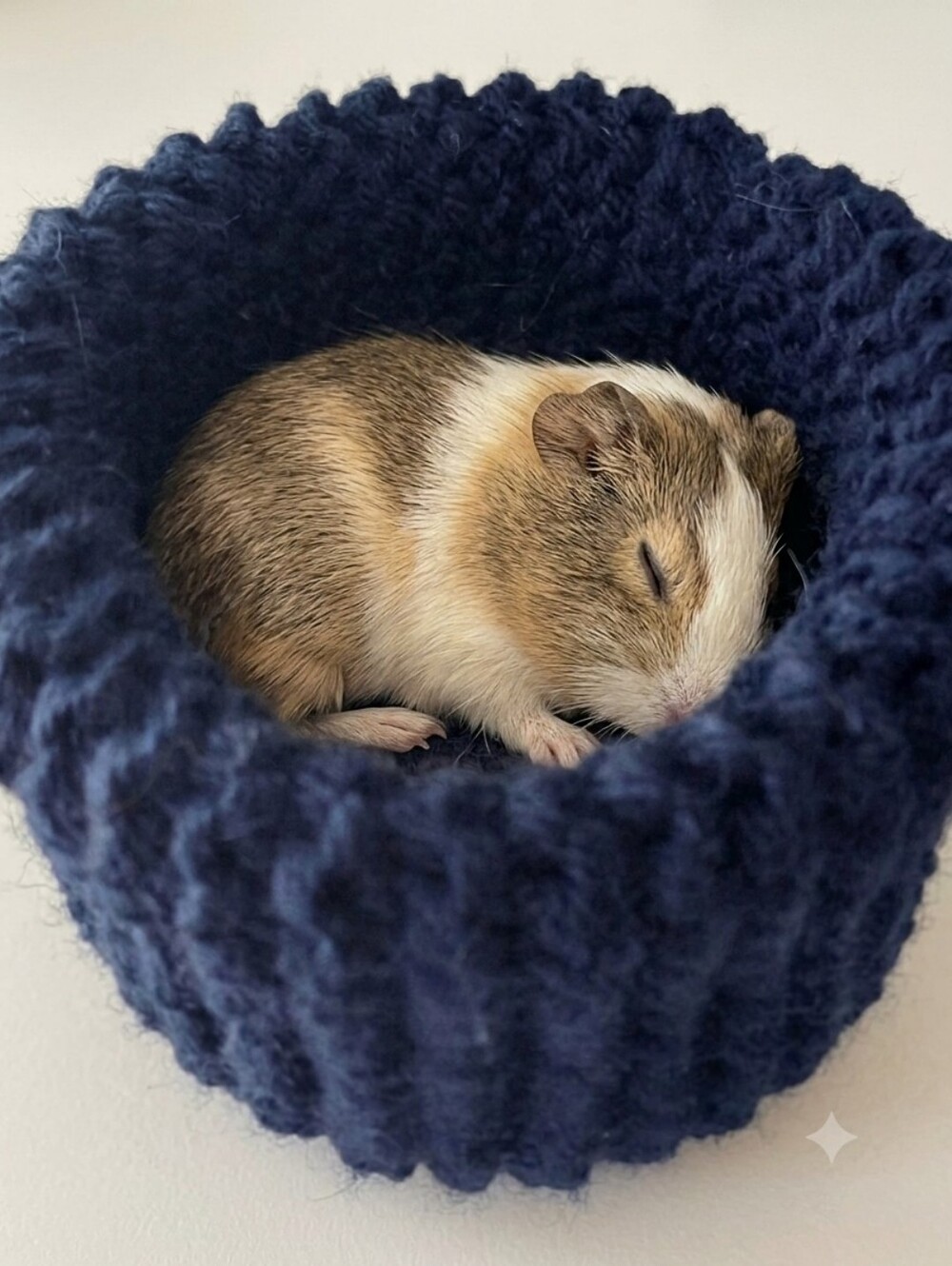 Hand Knit Pet Cozy Small Animal Snuggle Bed Guinea Pig Hamster Rat NWOT